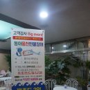 동아 민물장어
