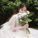 켈리헤어 이미지