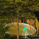 알파카프라자 이미지