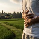 송파구보건소 | 발리밸리 예방 송파구 보건소 장티푸스 접종 실패 후기