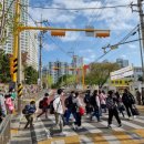 창포초등학교 이미지