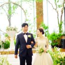 정찬홍웨딩 이미지