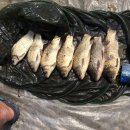 행복 낚시터 이미지