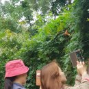 수묵캘리그라피 이미지