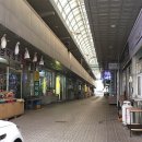 제천약초