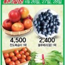 대백마트옥계점 네이버블로그
