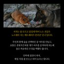 P-5725 이미지