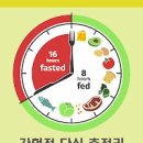 간헐적 단식 제대로 하는 방법과 장단점 이미지