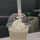 카페(CAFE)051 (신호점)