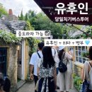 ㈜온라인투어버스 | 후쿠오카 버스투어 히타 유후인 당일 유유버스투어 내돈내산 후기