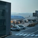 오키나와에서 배운다: 동아시아 속의 한반도 | 인천공항 &lt;-&gt; 칼리보공항 이동기 - 티웨이항공 TW125 &amp; TW126 이용기