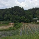 낭만가족 캠핑장 이미지