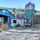 푸른들목장 이미지