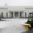 SNOW WING 이미지