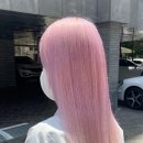포이에마 이미지