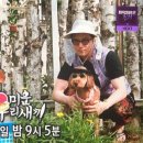 토르스테이 이미지