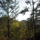 소라초등학교 이미지