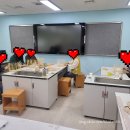 신호중학교 이미지