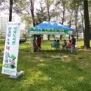 보강천 미루나무숲 이미지