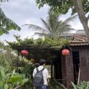 미노 | 아기랑 다낭 호이안 여행 리버사이드 호텔 후기 미노스파 마사지 추천