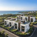 제주동네부동산중개 이미지