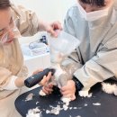 고양이이발관 송도점 이미지