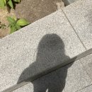 본가중앙불곱창