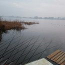 평택호길 이미지