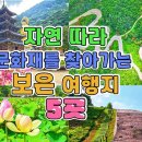 [dudtkd] 충북 보은여행 가볼만한곳 말티재, 법주사, 삼년산성, 정이품송, 속리산 연꽃단지, 임한리 솔밭 이미지