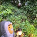 CU과천선바위점 | 자연과 함께하는 휴식의 공간, 카페디에서의 특별한 한때