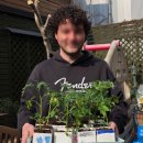 지니어스유치원 이미지