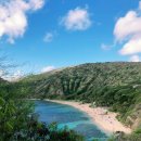 🌴50장 꽉 채운 하와이 자유여행 후기🤙 이미지