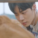 푸른가축병원 이미지