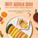 꿈파네찰바제주