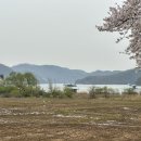 초평낚시터 이미지