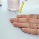 르사(LSA) 이미지