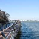 한진 목장 이미지