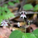 완도수목원 이미지