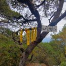 경남 창원시 *만수산-보령산-보잠산-작당산-경남수목원* (22.10.06) 이미지