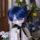 I.doll