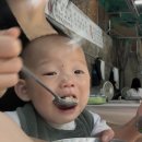 보은장 | 안양 보은장식당 계곡 백숙 오픈런 후기 및 꿀팁