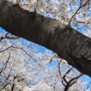 창원대로-1 이미지