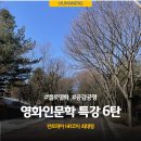 영화와 함께하는 인문학 | [예술인문학] D기관 영화인문학 특강 6탄(영화로 쓰는 사랑 노래)