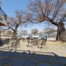 마리올라 이미지