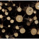 약전골목 이미지