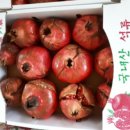 갈뫼농장 이미지