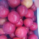 영촌경로당 이미지