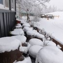 사선대농장 이미지