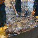 토도수산 티스토리