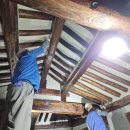 흰공 노공 이미지